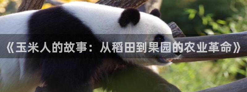 九游会官方首页