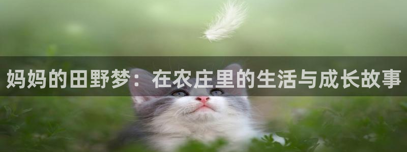 九游会ag下载