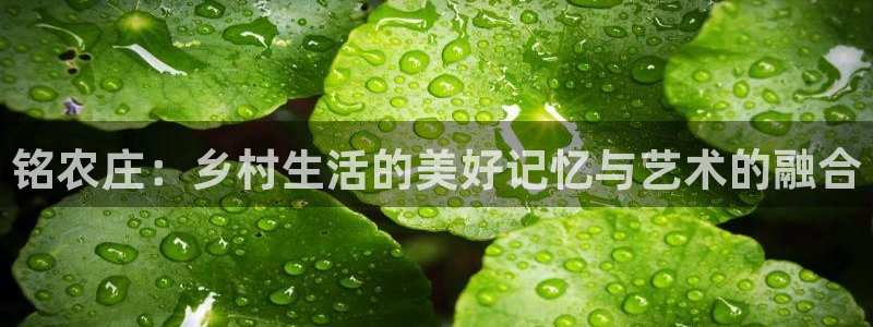 九游会怎么打不开了