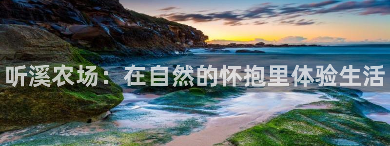九游会数字货币网址