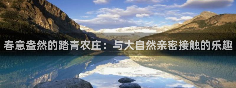 九游会电竞竞猜