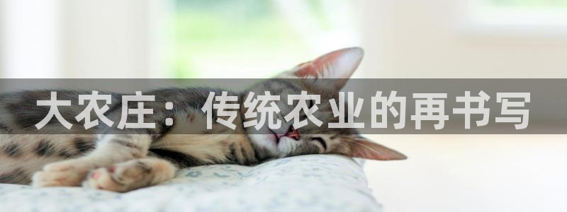 九游会登陆官方网站