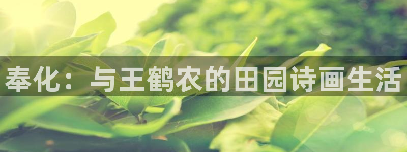 j9九游会老网站