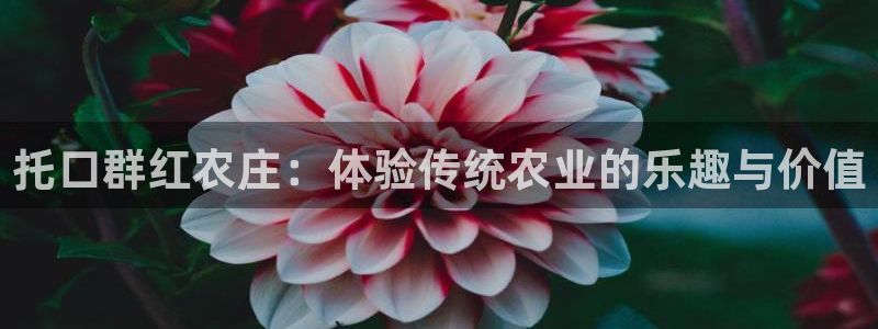 就九游会