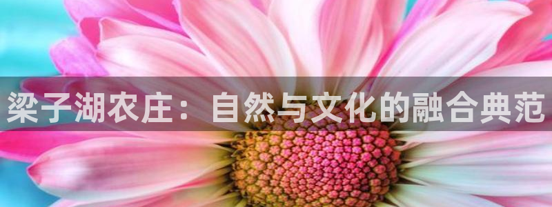 九游会论坛最大