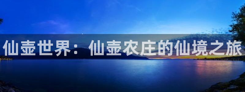 j9九游会优惠专员