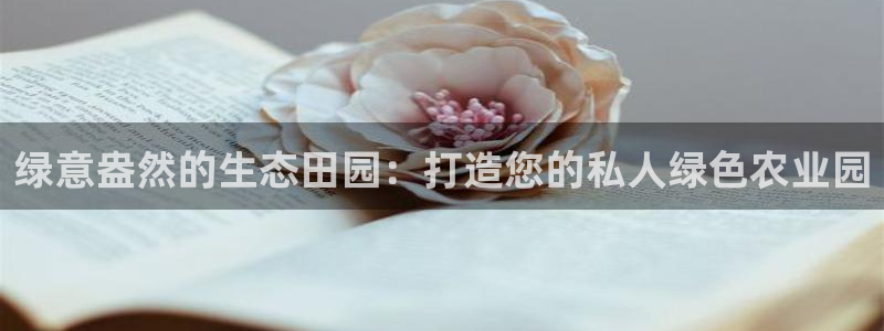 九游会入口网址